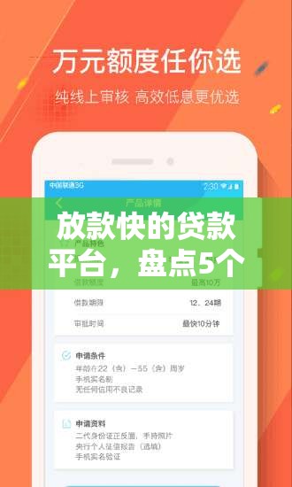 2024晚上不审核直接放款口子，了解5个网贷论坛口子2024