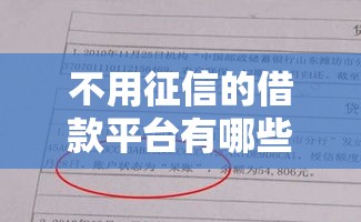 不用征信的借款平台有哪些，分享5个征信有呆账可以下款的口子