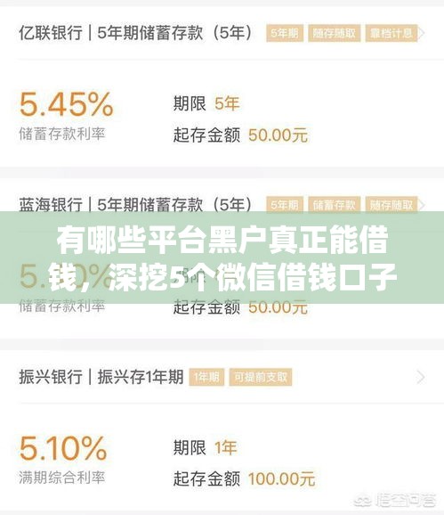 2024无视黑白100%秒下网贷,精选5个美团申请频繁被风控能下的口子 2024无视黑白100%秒下网贷,精选5个美团申请频繁被风控能下的口子