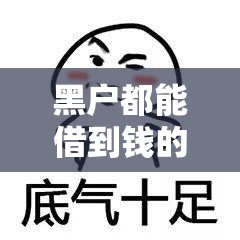 黑户都能借到钱的平台有吗，深挖5个容易通过的网贷口子