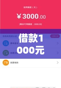 借款1000元马上放款，精选5个贷款新口子