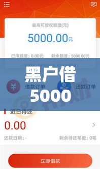黑户借5000不看征信秒下款，深挖5个秒下款的口子