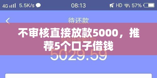 借2000一分钟到账，精选5个2024晚上不审核直接放款口子
