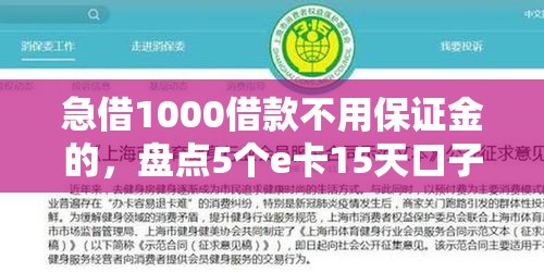 5个值得关注的超级烂户双黑下款借条口子总结