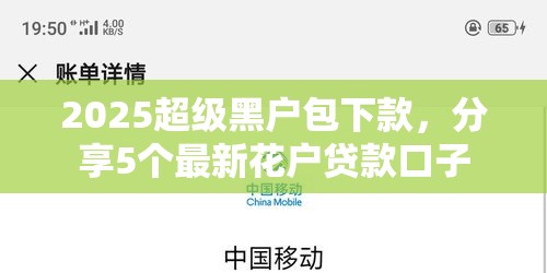 2025超级黑户包下款，分享5个最新花户贷款口子