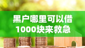 秒放款平台总结：5个网贷全拒后的其他可行口子推荐