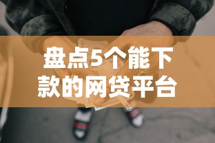 贷款审批图片：总结5种网贷平台的种类与特点