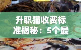 2024年征信差如何借钱？推荐5个必下款的网贷平台