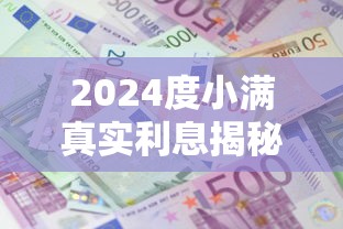 2024度小满真实利息揭秘，5大高炮口子秒下款专业分析