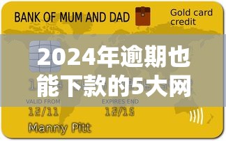 2024年逾期也能下款的5大网黑贷款申请平台推荐
