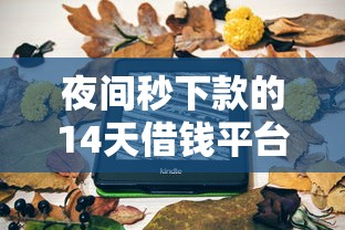 美团微博等常用APP借钱渠道盘点  10个靠谱平台推荐及避坑指南