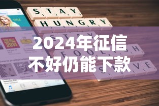 2024年征信不好仍能下款的网贷，5个风控必下口子专业解析