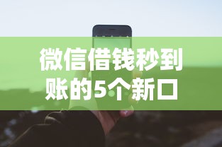 美团是否支持协商24期还款？推荐5个2024年高炮网贷平台