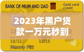 2023年黑户贷款一万元秒到账平台推荐，5大网贷逾期口子解析