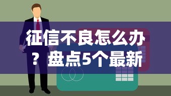 身份证征信查询系统安全使用指南与操作规范