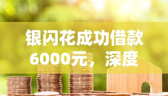 银闪花成功借款6000元,深度解析2024年5个e卡系列贷款口子 银闪花成功借款6000元,深度解析2024年5个e卡系列贷款口子