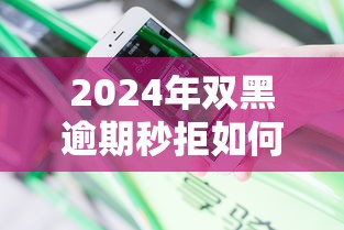 2024年双黑逾期秒拒如何快速借到钱？分享5个最新高炮口子秒下款技巧