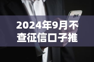 2024年9月不查征信口子推荐：5个适合征信全黑用户的贷款渠道