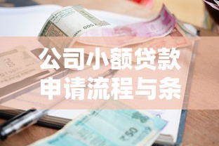 公司小额贷款申请流程与条件解析