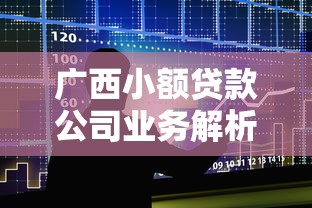 广西小额贷款公司业务解析与申请指南