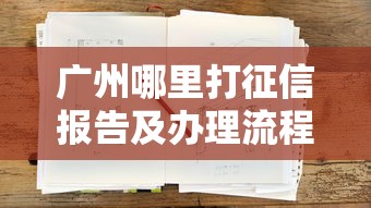 广州哪里打征信报告及办理流程指南