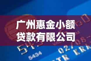 广州惠金小额贷款有限公司专业信贷服务咨询平台