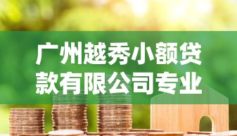 广州越秀小额贷款有限公司专业信贷服务指南