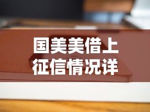 国美美借上征信情况详解