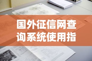 国外征信网查询系统使用指南与服务解析