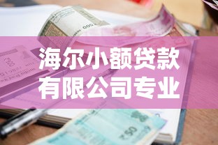 海尔小额贷款有限公司专业贷款服务快速审批低利率