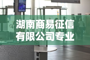 湖南商易征信有限公司专业信用服务解析