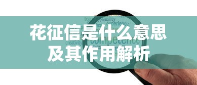可以帮别人查征信吗代查风险与合法性解答