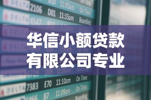 华信小额贷款有限公司专业小额贷款服务安全高效低息