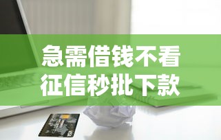 急需借钱不看征信秒批下款，无视信用问题快速到账