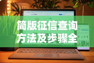 简版征信查询方法及步骤全解析