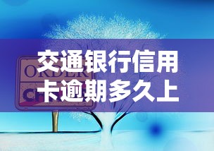 黑花户贷款3500：整合5个借钱靠谱的平台