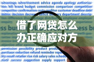 借了网贷怎么办正确应对方法及解决步骤