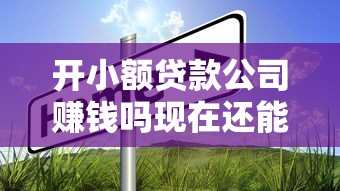 开小额贷款公司赚钱吗现在还能做吗前景如何