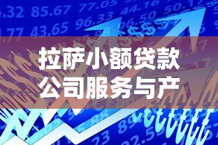 拉萨小额贷款公司服务与产品全面解析