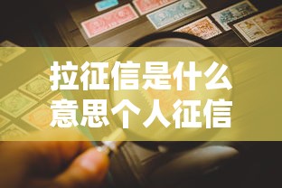 拉征信是什么意思个人征信查询全面解析