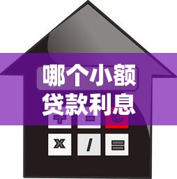 哪个小额贷款利息最低正规低息贷款平台推荐