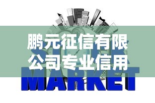 鹏元征信有限公司专业信用评估服务领航者