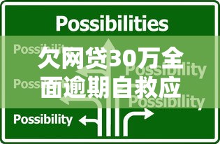 欠网贷30万全面逾期自救应对策略