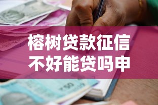 榕树贷款征信不好能贷吗申请条件与借款攻略