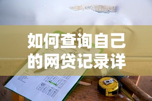 如何查询自己的网贷记录详细步骤