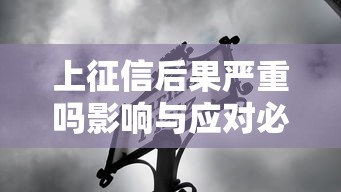 上征信后果严重吗影响与应对必知
