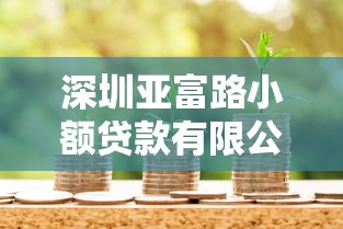深圳亚富路小额贷款有限公司专业贷款服务与金融方案