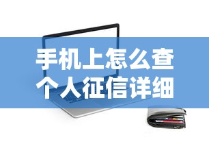 手机上怎么查个人征信详细步骤及方法解析