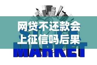 网贷不还款会上征信吗后果有多严重