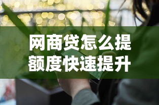 平台贷款申请全流程详解：从注册到放款一步到位